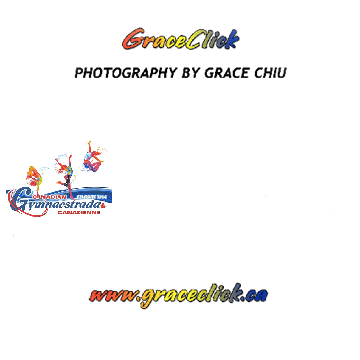 2010 Gymnaestrada Photo CD