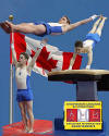Flag background three images all cutouts $65