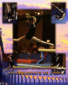 Five images 8x10 $45